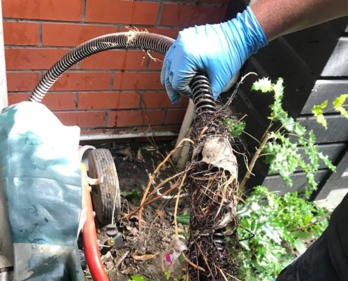 Pooman tree roots with mechanical snake